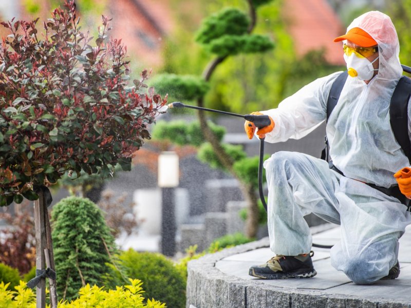 Mihalıççık Haşere İlaçlama